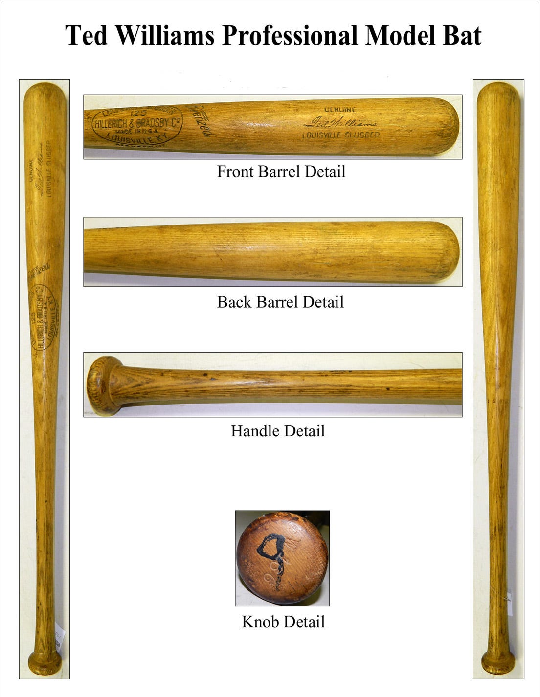 ted williams bat